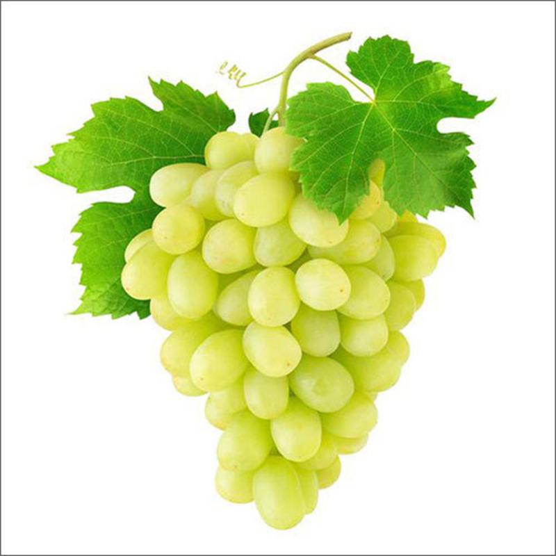 Grapes