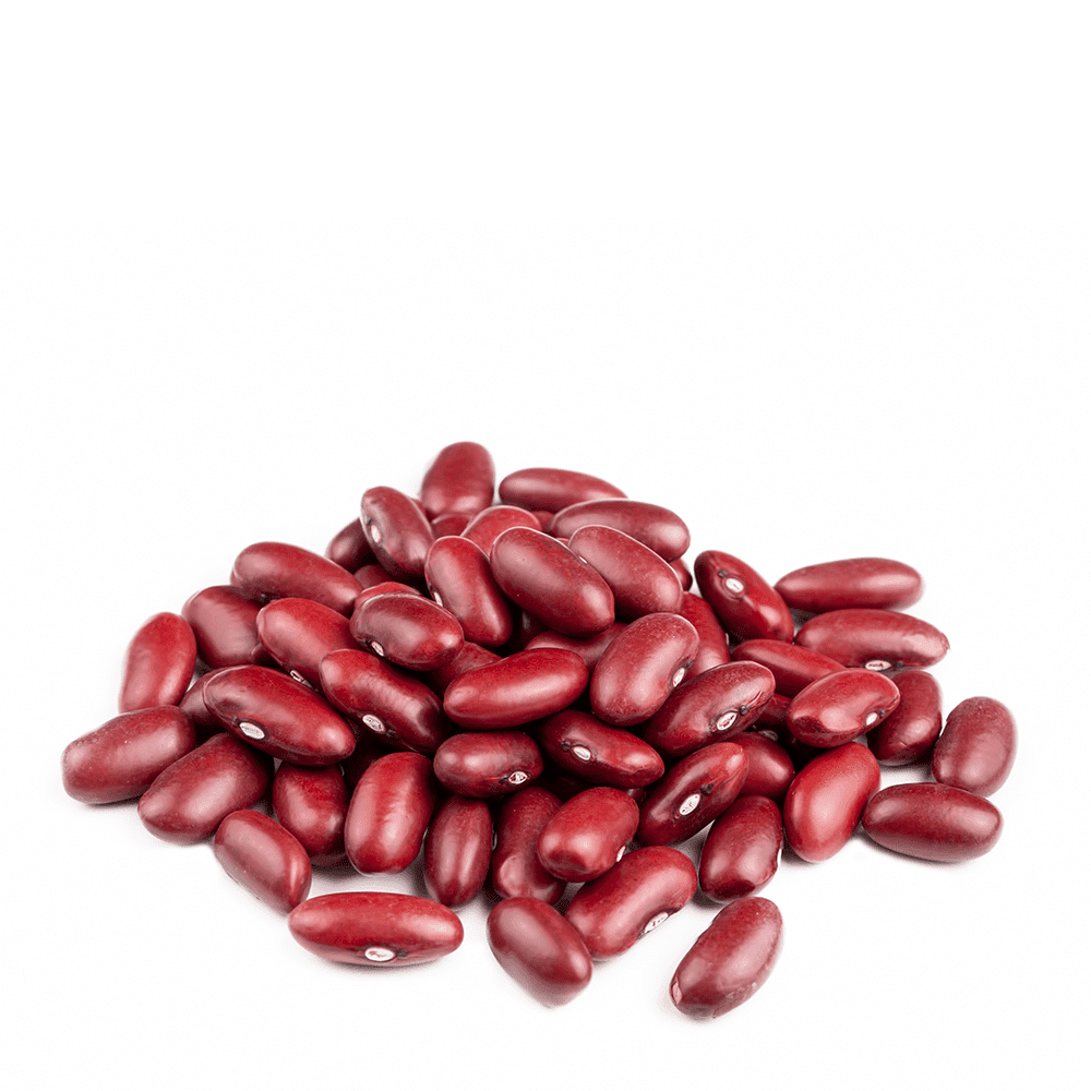 Red-Kidney-Beans Red-Kidney-Beans