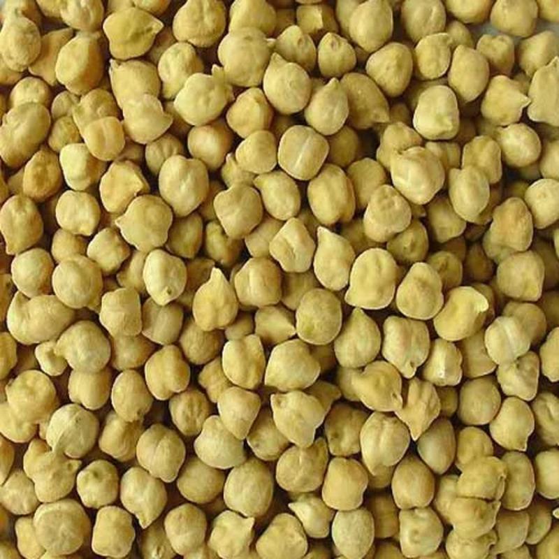 chick-pea chick-pea