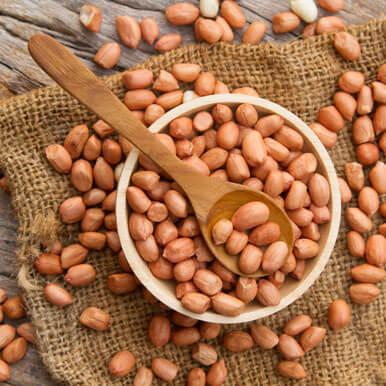 groundnut groundnut