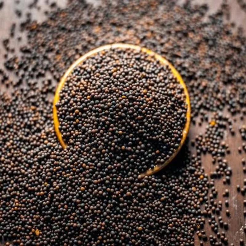 mustard-1 mustard-1