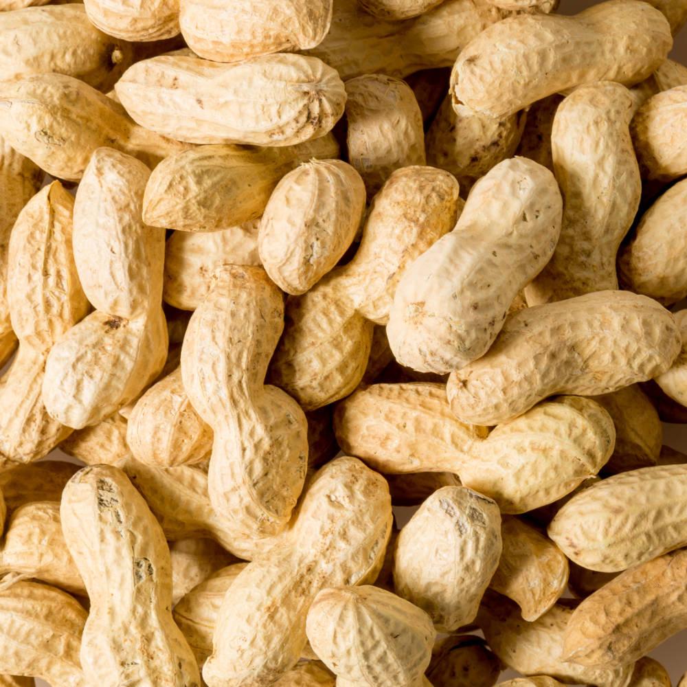 peanuts peanuts